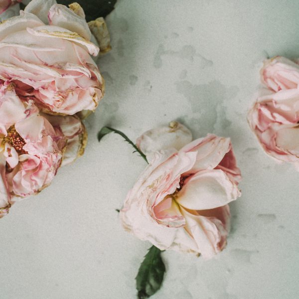 daria-shevtsova-57355-unsplash