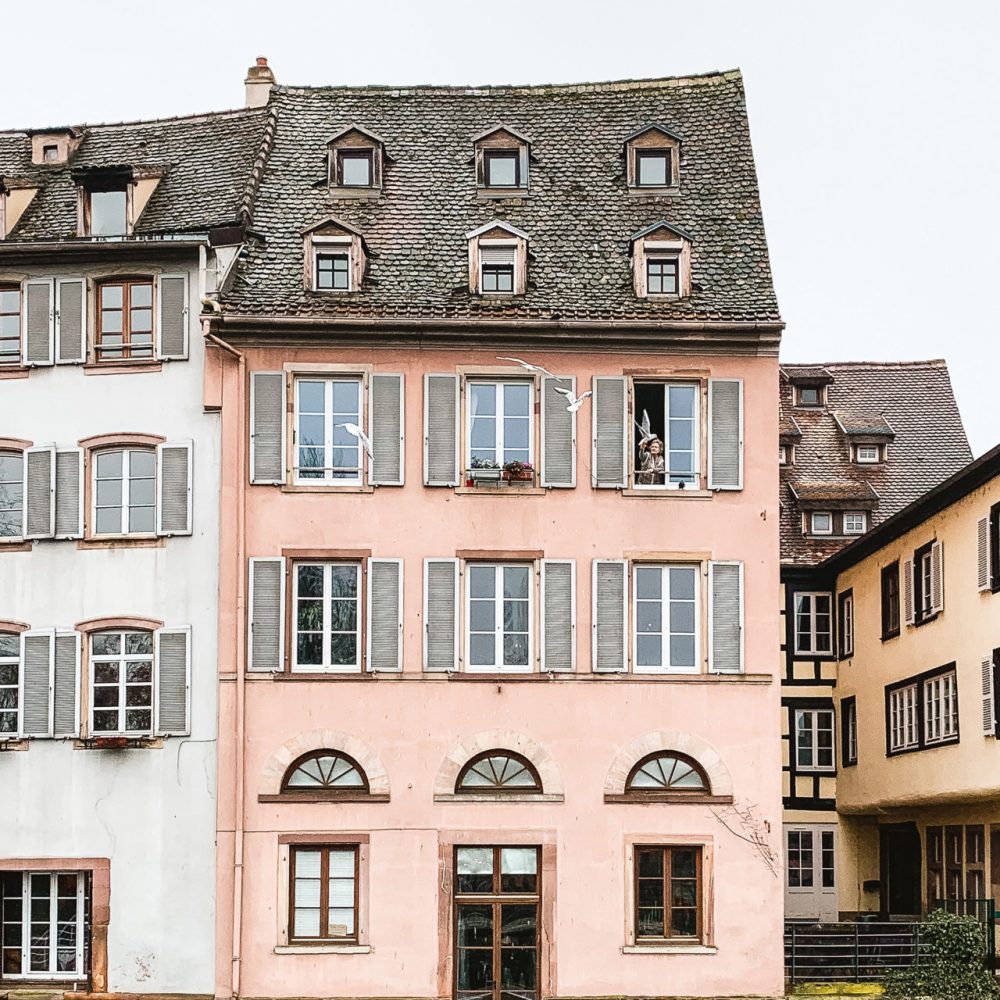 fineas-anton-1309124-unsplash