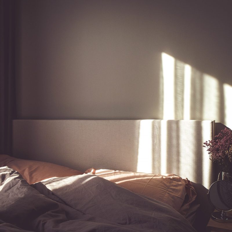 mink-mingle-725155-unsplash
